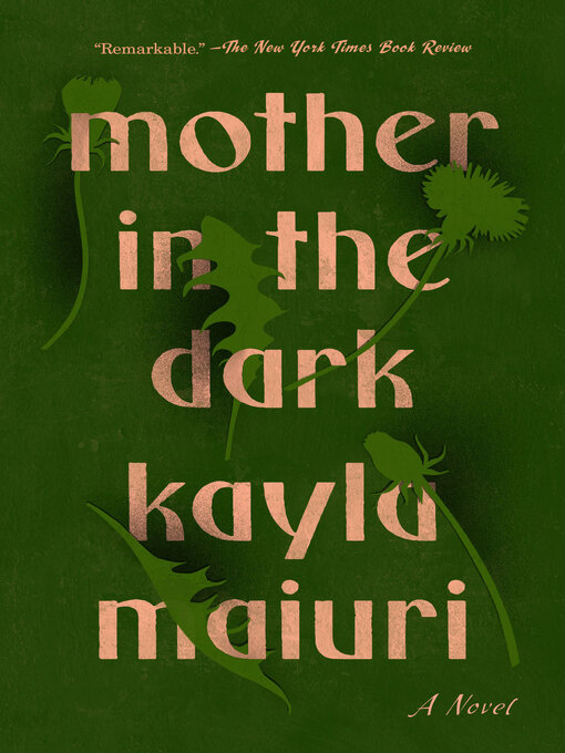Title details for Mother in the Dark by Kayla Maiuri - Wait list